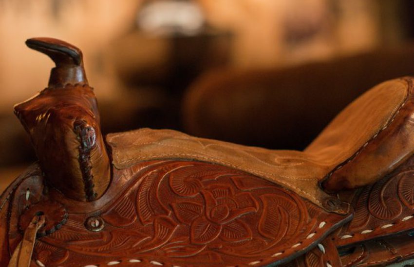 Pub Poney Club Annecy